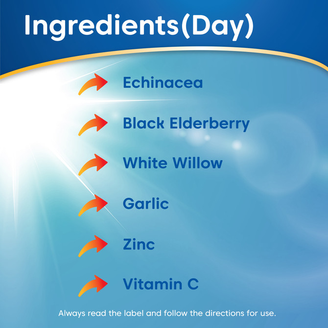 EASEaCOLD Cold & Flu Relief Day/Night 24s