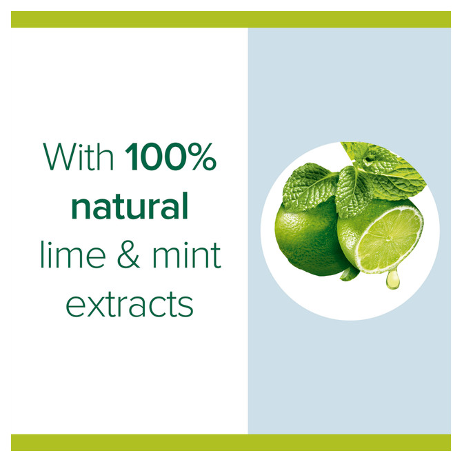 Palmolive Antibacterial Foaming Hand Wash, Lime & Mint, 250mL Pump