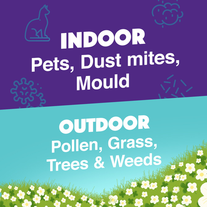 Rhinocort Extra Strength Non-Drowsy 24 Hour Hayfever & Allergy Relief Nasal Spray Twin Pack 2 x 120 Sprays 