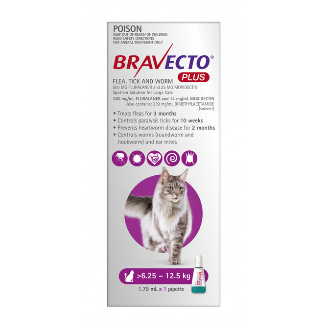 Bravecto Plus Cat Spot On Treatment 6.25kg - 12.5kg 1 Pipette