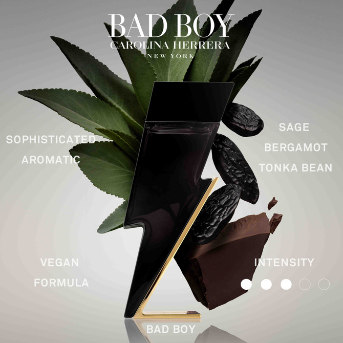 Bad Boy EDT 50ML