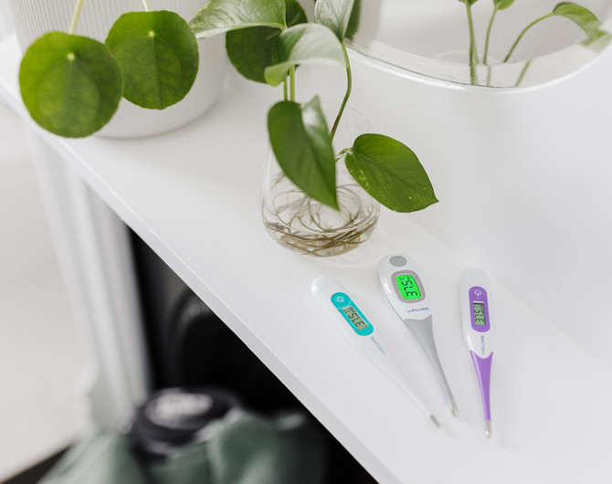 Welcare Digital Thermometer Standard