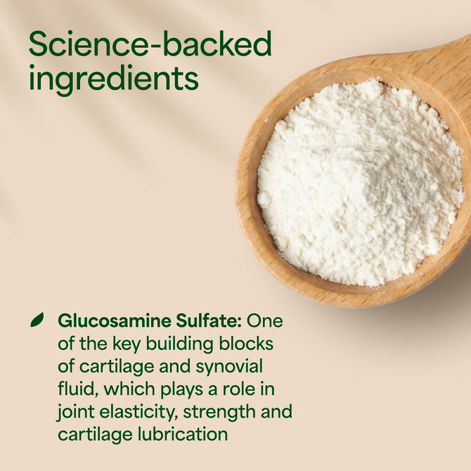 Nature's Own Glucosamine Sulfate 240 Tablets