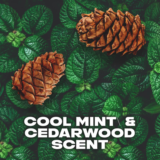 LYNX  Deodorant Body Spray 100% fresh fragrance & 48hr odour protection Black Night aerosol 165 ml