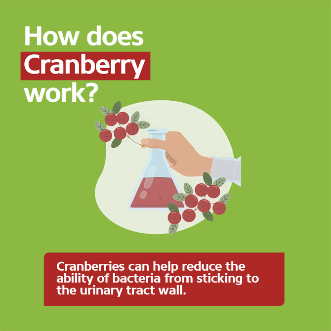 Ural Cranberry Daily Capsules x 90