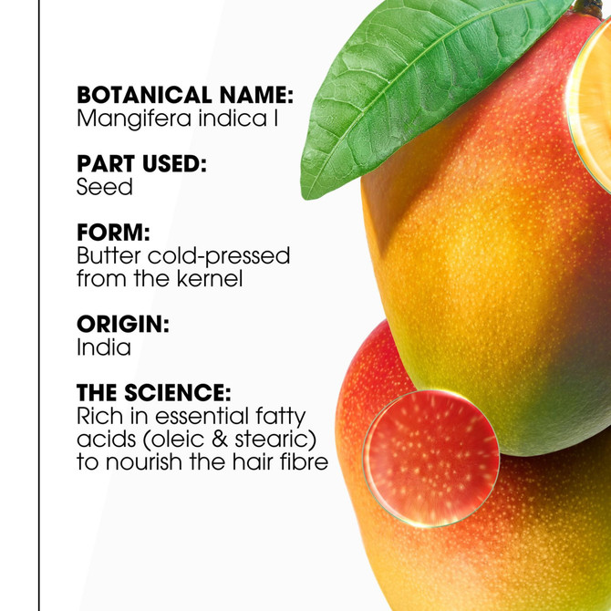 Klorane Nourishing Conditioner with Mango 200ml - Dry Hair