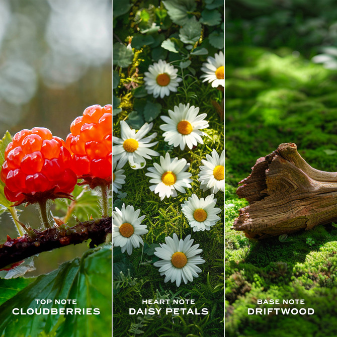 Marc Jacobs Daisy Love Eau de Toilette 100 ML