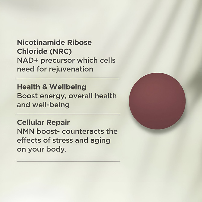Vitaceuticals NR Brain Boost Tablets 30