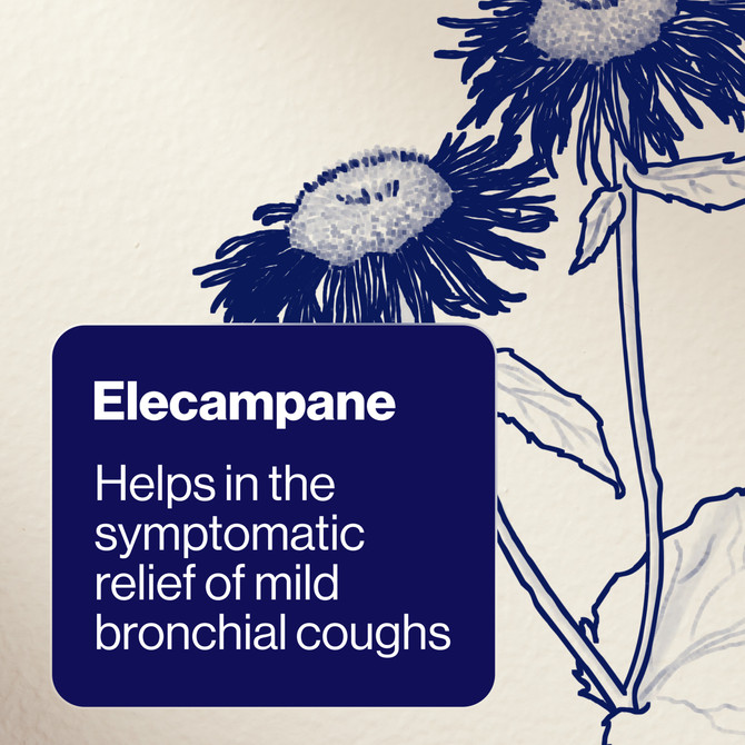 BioCeuticals ArmaForce® Cough Relief 200mL