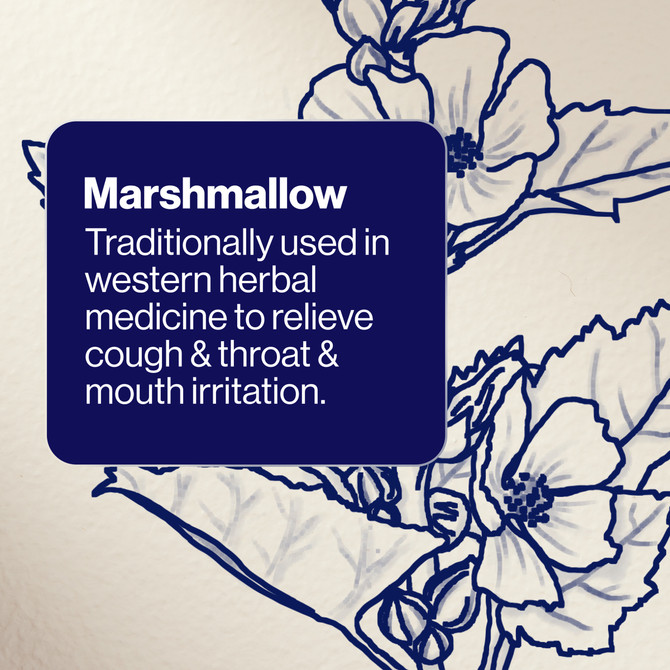 BioCeuticals ArmaForce® Cough Relief 200mL