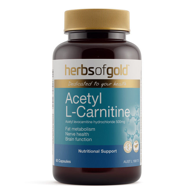 Acetyl L-Carnitine   