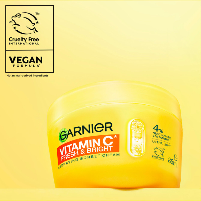 Garnier Vitamin C Sorbet Moisturiser Cream for Face