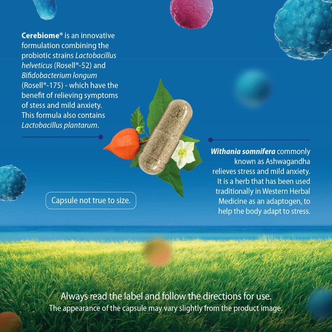 Caruso's ANXIETY EZE® PROBIOTIC 60 Capsules