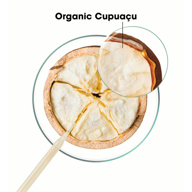 Klorane Repairing Shampoo with Organic Cupuacu 400ml - Damaged Hair