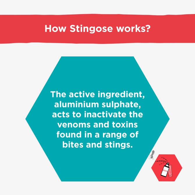 Stingose Spray 100mL