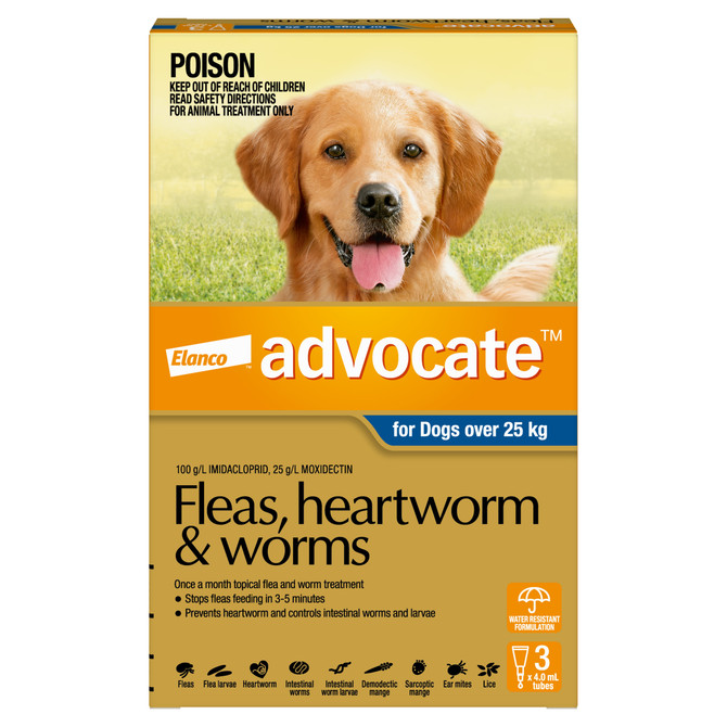 Advocate™ Fleas, Heartworm & Worms for X-Large Dogs Over 25kg - 3 Pack