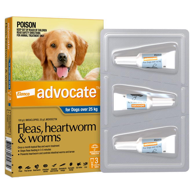 Advocate™ Fleas, Heartworm & Worms for X-Large Dogs Over 25kg - 3 Pack