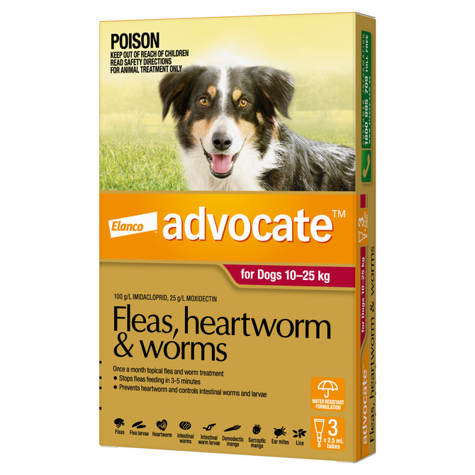 Advocate™ Fleas, Heartworm & Worms for Large Dogs 10 - 25kg - 3 Pack