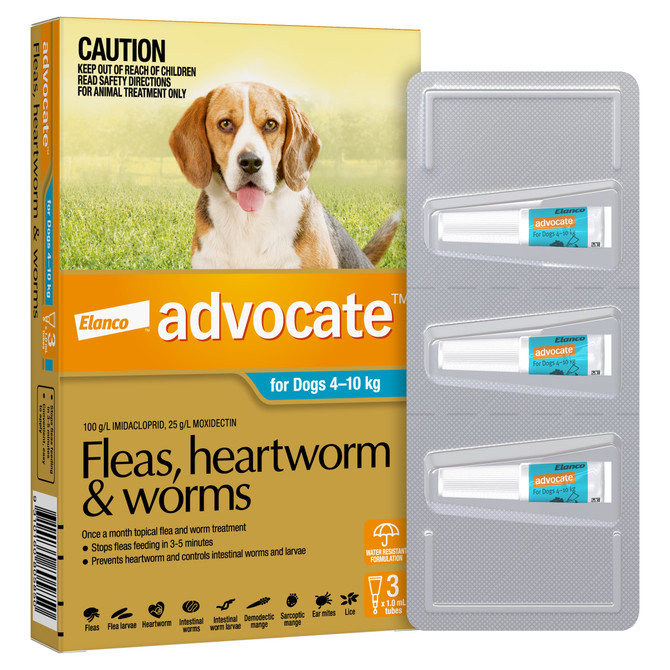 Advocate™ Fleas, Heartworm & Worms for Medium Dogs 4 - 10kg - 3 Pack