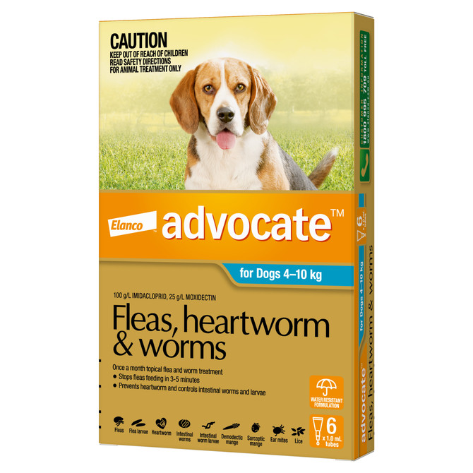 Advocate™ Fleas, Heartworm & Worms for Medium Dogs 4 - 10kg - 6 Pack
