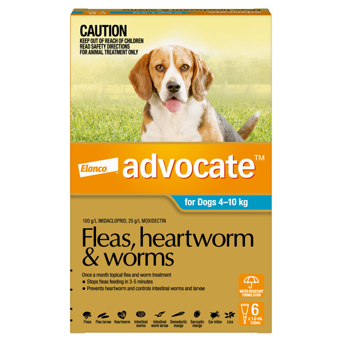 Advocate™ Fleas, Heartworm & Worms for Medium Dogs 4 - 10kg - 6 Pack