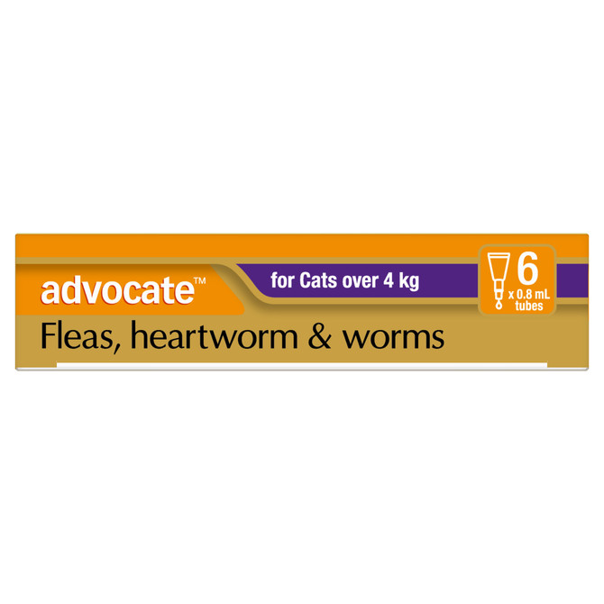 Advocate™ Fleas, Heartworm & Worms for Cats Over 4kg - 6 Pack