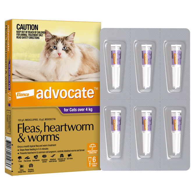 Advocate™ Fleas, Heartworm & Worms for Cats Over 4kg - 6 Pack