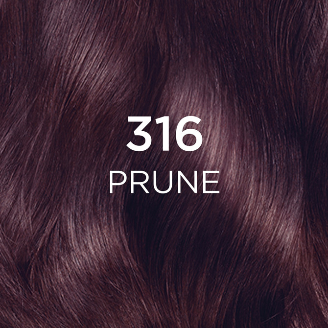 L'Oréal Paris Casting Crème Gloss Semi-Permanent Hair Colour - 316 Prune (Ammonia Free)