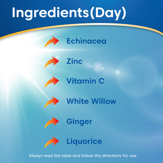 EASEaCOLD Cough, Cold & Flu Day/Night 24s