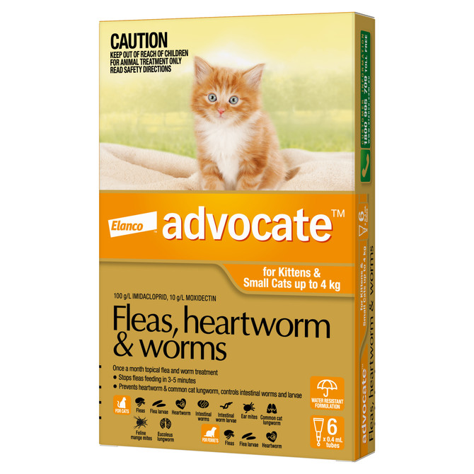 Advocate™ Fleas, Heartworm & Worms for Kittens & Small Cats Up To 4kg - 6 Pack