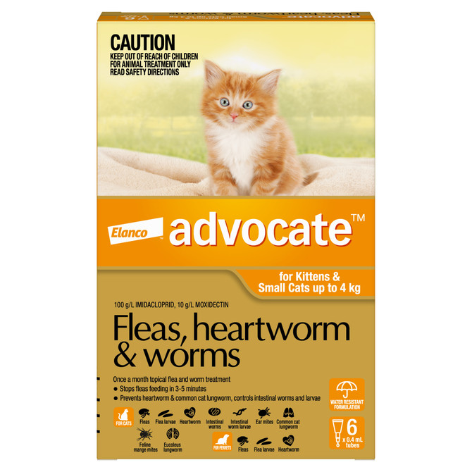 Advocate™ Fleas, Heartworm & Worms for Kittens & Small Cats Up To 4kg - 6 Pack