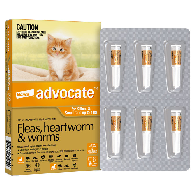 Advocate™ Fleas, Heartworm & Worms for Kittens & Small Cats Up To 4kg - 6 Pack