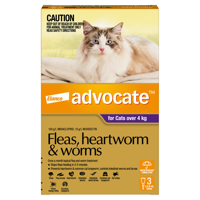 Advocate™ Fleas, Heartworm & Worms for Cats Over 4kg - 3 Pack