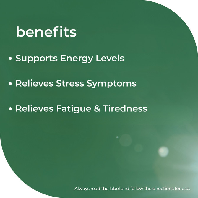 Nature's Way Mega B Executive Stress 200s