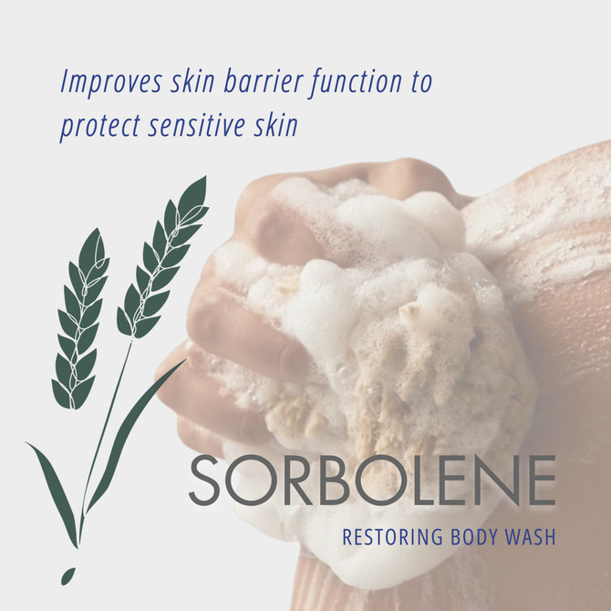 Redwin Sorbolene Body Wash with Vitamin E 1L