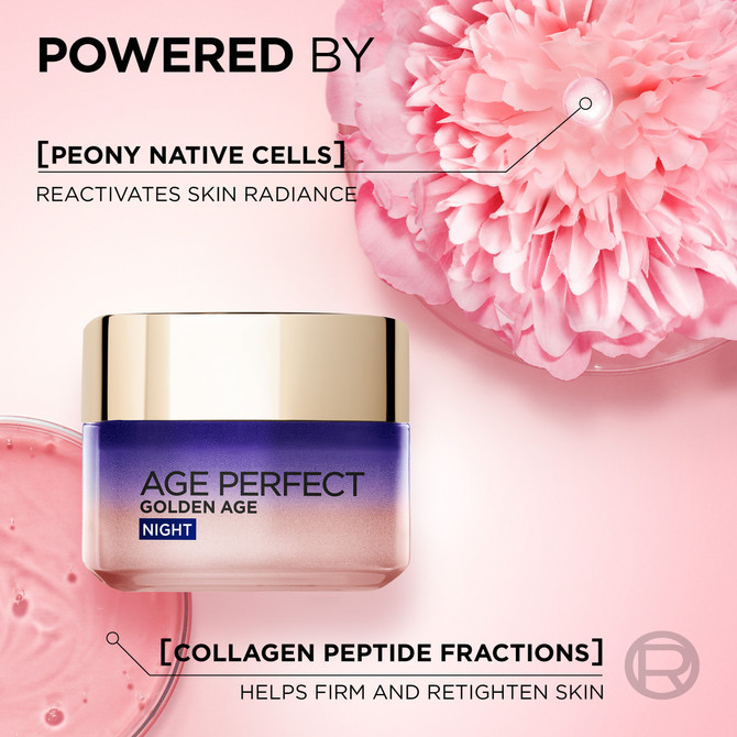 L'Oréal Paris Golden Age Re-Densifying Night Cream