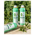 Klorane Nettle Dry Shampoo 150ml - Oily Hair