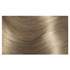 L'Oréal Paris Excellence Crème Permanent Hair Colour - 8.1 Ash Blonde