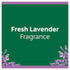 Cashmere Bouquet Fine Bar Soap, 4 x 100g, Lavender