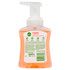Dettol Foaming Antibacterial Hand Wash Lime and Orange 250ml