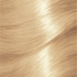 Garnier Nutrisse CrÃ¨me 10.01 Natural Light Ash Blonde
