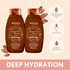 Aveeno Deep Hydration Almond Oil Blend Conditioner For Scalp Soothing & Gentle Cleansing 354mL