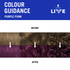Schwarzkopf LIVE Colour Permanent Purple Punk