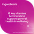Nature's Way High Strength Adult Vita Gummies Multivitamin + Minerals 65 Strawberry Flavoured Pastilles (Soft Gummies)