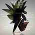 Bad Boy EDT 100ML