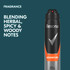 Rexona Men Deodorant aerosol antiperspirant Adventure 48-hour sweat and odour protection 250 mL