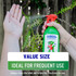 Isocol Rubbing Alcohol Antiseptic 450mL Spray Bottle