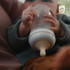 Philips Avent Natural Response Baby Bottles, 125ml, 2-pack, SCY900/02