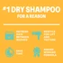 Batiste 24H Fresh Dry Shampoo | Busy Lifestyle | Long Lasting Refresh | Touch Activated | 200ml