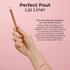 Perfect Pout Lip Liner Cheeky Chat